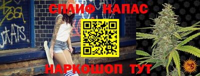 стаф Сланцы