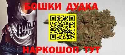 стаф Сланцы