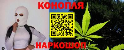 стаф Сланцы